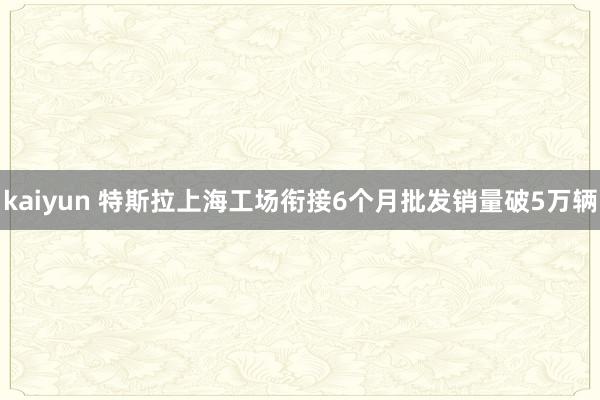 kaiyun 特斯拉上海工场衔接6个月批发销量破5万辆