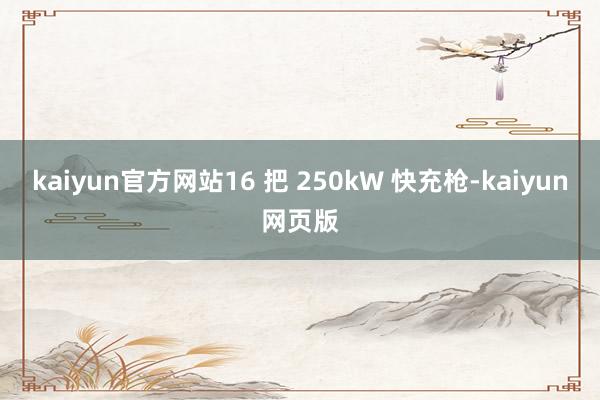 kaiyun官方网站16 把 250kW 快充枪-kaiyun网页版